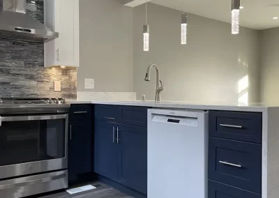 Remodeling Services (2)